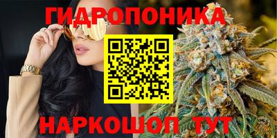 спайс Коммунар