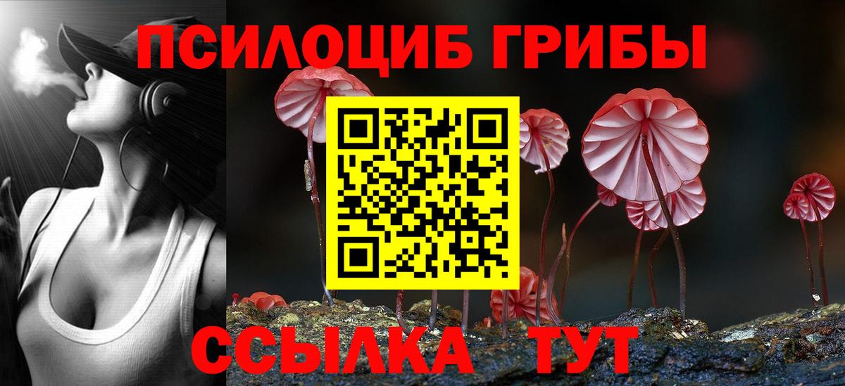 Псилоцибиновые грибы Magic Shrooms Каспийск