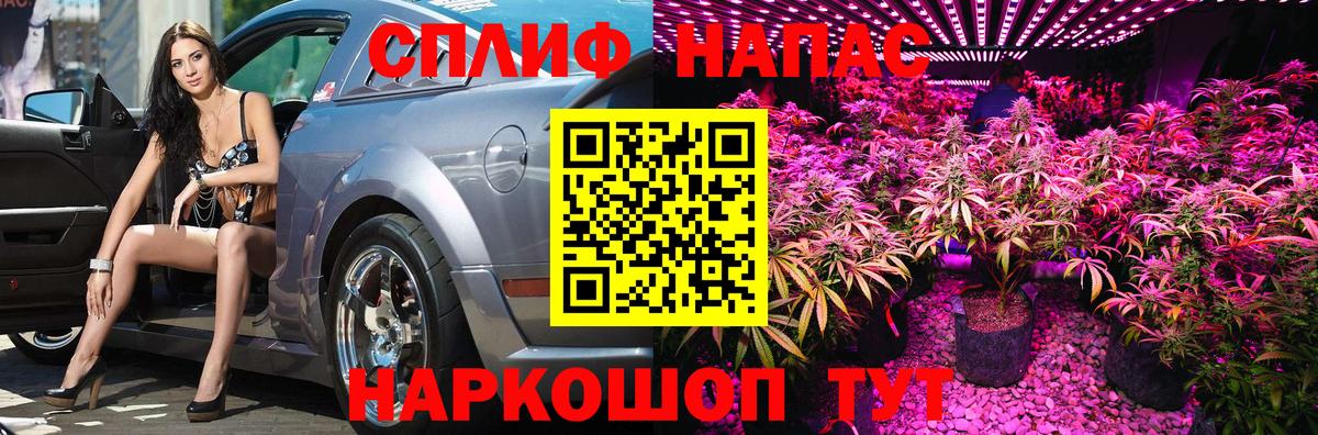 Канабис Amnesia Каспийск